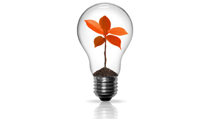 Member Ideas - light bulb with red plant growing inside
