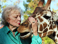 Betty White author of Betty and Friends - My Life at the Zoo kisses a giraffe 