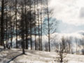 Sunlight bursts through clouds of a winter setting in Michigan