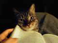 Curl up with a cozy read.