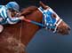 Premios de AARP sobre las mejores películas del 2010: Secretariat
