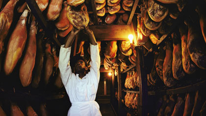 Aged Virginia Hams Hanging in Storage Aged Virginia Hams Hanging in Storage