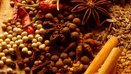 Healing Winter Spices