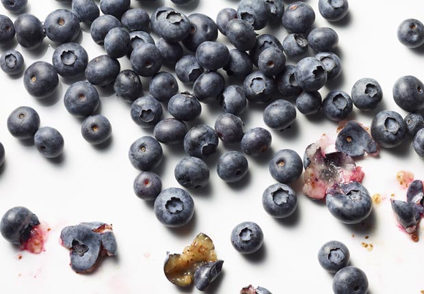 blueberries shot on white