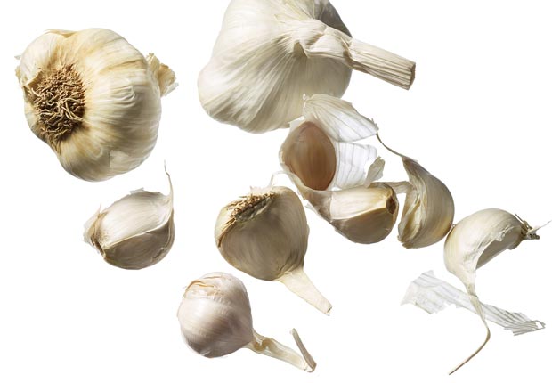 garlic cloves shot on white