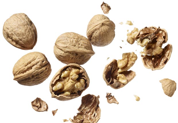 Walnuts shot on white