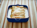 Canelones vegetarianos