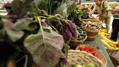 Customers shop for produce at the Food Project's Farmer's Market in the Boston neighborhood of Dorchester Customers shop for produce at the Food Project's Farmer's Market in the Boston neighborhood of Dorchester