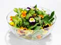 Information on edible flowers