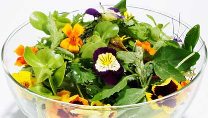 Information on edible flowers Information on edible flowers