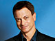 Inspire Award Honoree 2008 - Gary Sinise