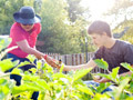 AARP volunteers in community garden in Georgia