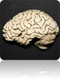 health encyclopedia tool health encyclopedia tool