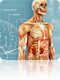 symptom checker tool symptom checker tool