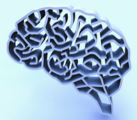 The Playful Brain The Playful Brain
