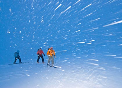 snow blizzard snow blizzard