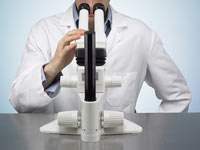 looking into microscope looking into microscope