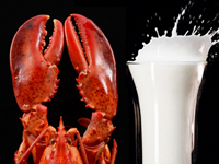 Lobster and milk both have fats, just different kinds.