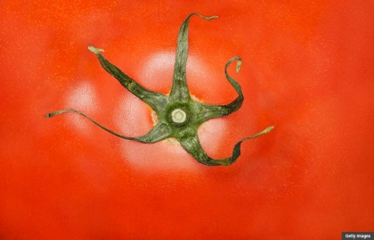 Tomato - Getty Images