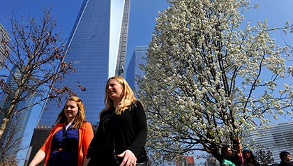 People walk past the Survivor Tree at the World Trade Center in New York. For Prime Time Focus. People walk past the Survivor Tree at the World Trade Center in New York. For Prime Time Focus.