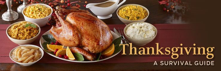 Thanksgiving, A Survival Guide Thanksgiving, A Survival Guide