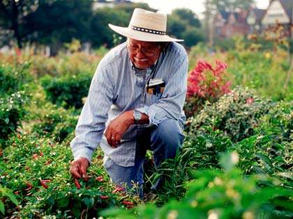 man gardening