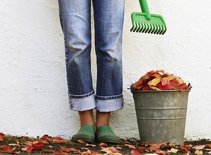 Consejos para jardinería para el otoño Consejos para jardinería para el otoño