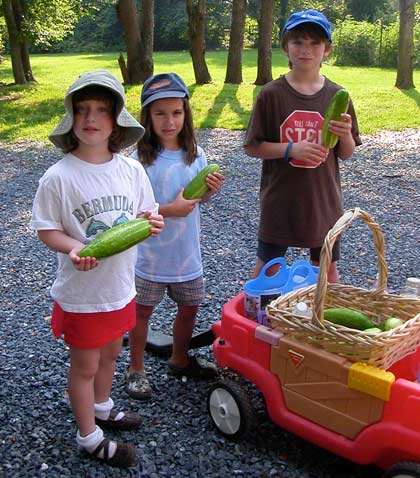 Kids and cucumbers Kids and cucumbers