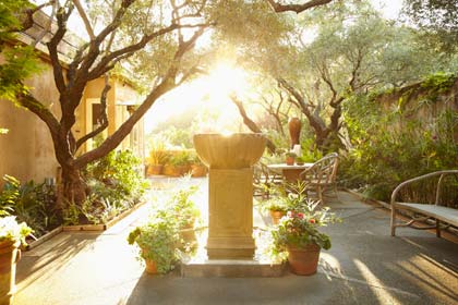 My Garden View