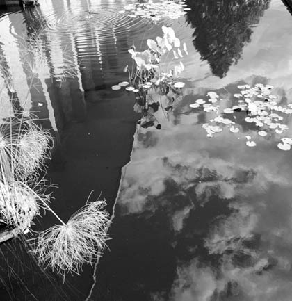 National Arboretum