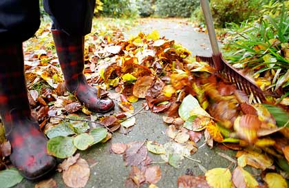 Mantener su jardin en el otoño Mantener su jardin en el otoño