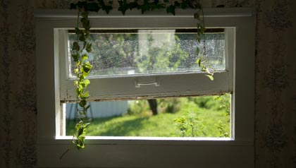 How to Choose the Right Replacement Windows