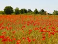 Best Places to Retire Abroad (FRANCE) Best Places to Retire Abroad (FRANCE)