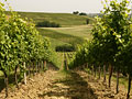 Best Places to Retire Abroad (ITALY) Best Places to Retire Abroad (ITALY)