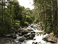 Best Places to Retire Abroad (PANAMA)
