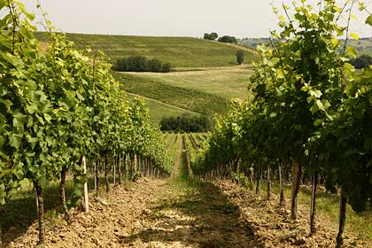 Italia