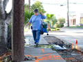 Lois E. Carlisle, AARP Texas and other organizations push for ‘complete streets’ legislation