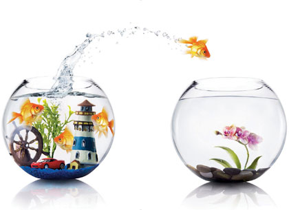 Leap to Cheap Leap to Cheap