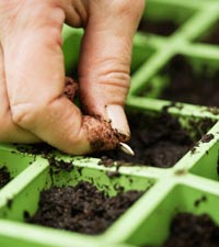 Maintaining your garden doesn't have to cost a fortune.