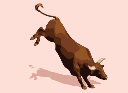 lively bull