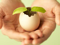 eggshell with a plant inside held in someones hands