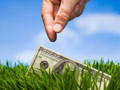 $100 bill in the grass