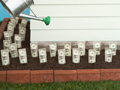 savings challenge invest in yourself watering dollar bills in garden
