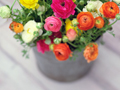 bucket of flowers-99 ways to save money with AARP discounts
