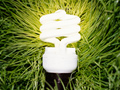 Compact fluorescent light bulb in grass 99 Ways to Save-18 Ways to Cut Utilities Costs