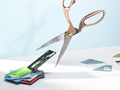debt challenge which credit card to pay off first, cut up cards