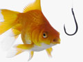 Gold fish and hook - Five ways to avoid email spam