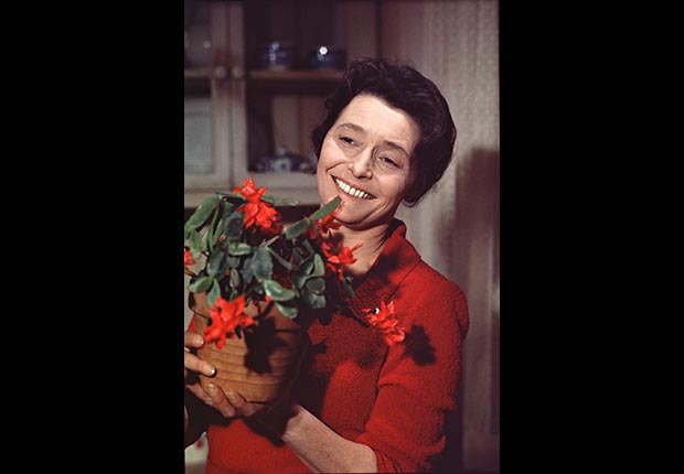 The Waltons Christmas Story and other Christmas Crazes of the past.