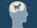 donkey profile, test your Democratic Convention smarts