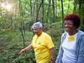 Campers take a morning nature walk at senior summer camp